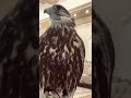 Ш Щ ШЇЩ ШЇЩ Ш ШЎ ШЁШ Щ Ш Щ Ш Щ Ш Ш рџ ЏрџЏ рџ ЩЃЩ Щ Щ Ш ЩѓШіШЁЩ Щ Ш Щ Ш ЩЉЩѓ ШµЩ Ш Ш Щ ШЇЩ ШЇЩ Ш ШЎ ШЁШ Щ Ш Щ Ш Щ Ш Ш рџ ЏрџЏ рџ ЩЃЩ Щ Щ Ш ЩѓШіШЁЩ Щ Ш Щ Ш ЩЉЩѓ ШµЩ Ш