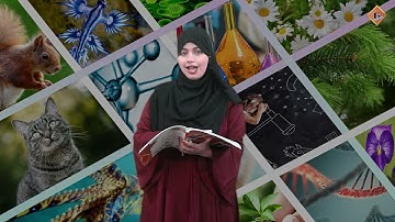 Gohar Science 5|Unit 7|Lec 7|Assessment