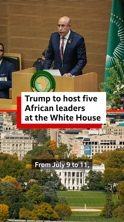 Why is Trump hosting these African leaders at the White House? – BBC Africa