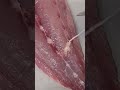魚に寄生する虫