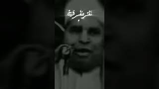 نوادر الشيخ محمد الليثي