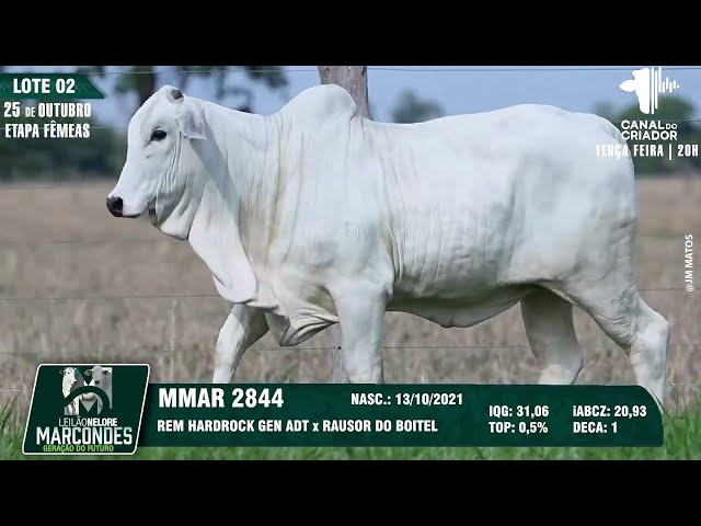 LOTE 02 MMAR 2844