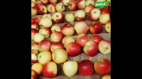 #Apple 🍎🍎🍎 .  Quality sorting.   #shorts
