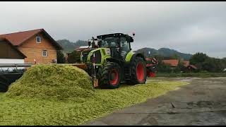 Hauer Multischieber 4600 Bei Der Maissilage.