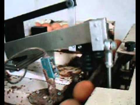 Egg coding EggFlex HeDiPack on a Riva Selegg S91 grader