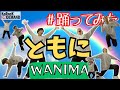 【踊ってみた】ともに / WANIMA【超入門＊オリジナル振付】