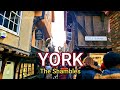 York gimbal walk with me to the chambles 