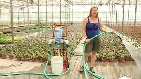 Using Beneficial Nematodes to Manage Pests in Greenhouses