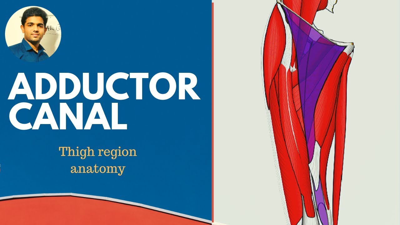 dictionary meaning of faculty