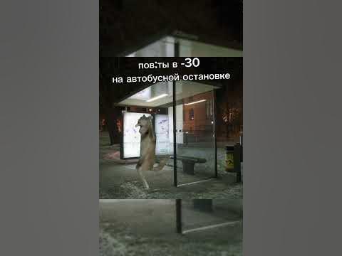 #муравей #смешно #мем #ихвильнихт - YouTube