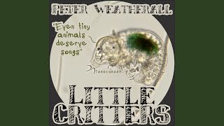 Ticks, Fleas and Lice