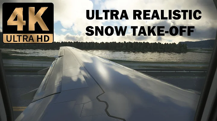 (4K Ultra HD) SAS B737-600 Take off with Snow - FS2020