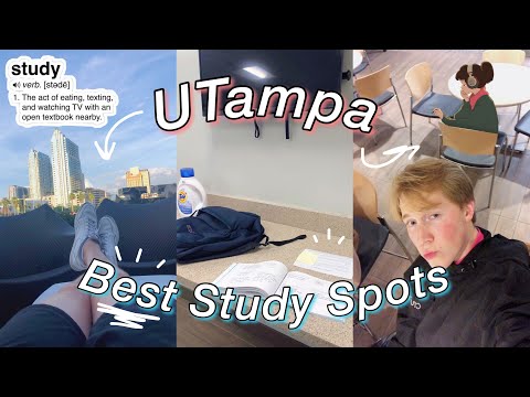 4 Secret Study Spots at the University of Tampa
