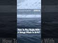 How To Play Rugby With A Beluga Whale ? #karmactive #whale #marine #friendly #wildanimals #nature