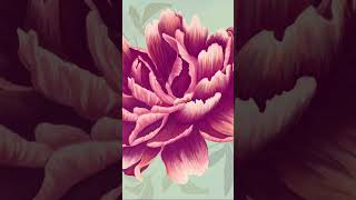 Floral Digital Clip Art & Patterns for Art Prints, Stationery, Creative Projects & More