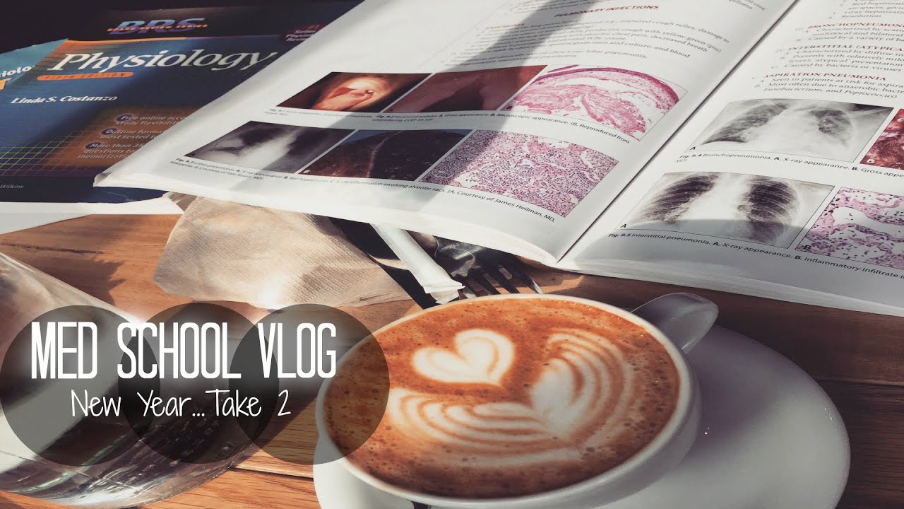 MED SCHOOL VLOG 8 | A Day In The Life Of A Medical Student: New Year ...