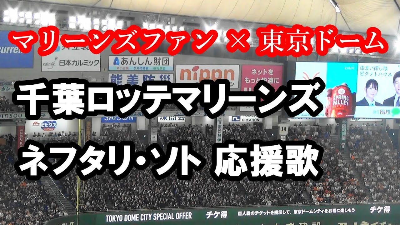 ネフタリ・ソト　バット　千葉ロッテマリーンズ　横浜DeNAベイスターズ　NPB ミントモール / MINT 新宿店 / 2024 EPOCH 千葉ロッテマリーンズ