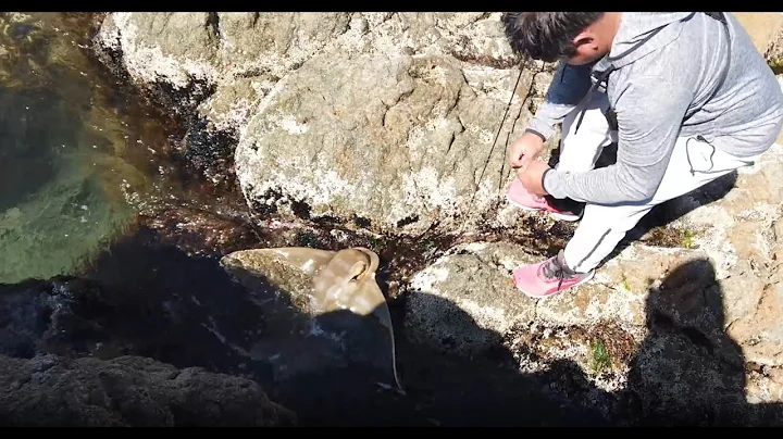 MT. MARTHA FISHING SPOT VICTORIA. KING GEORGE WHIT...