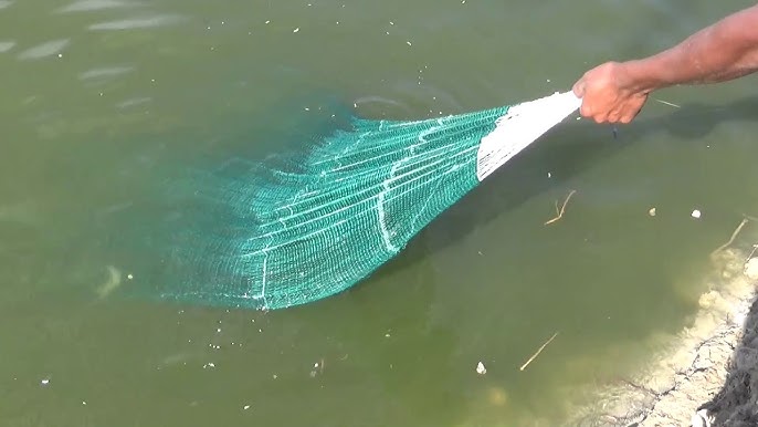 Amazing big nets catch hundreds of tons of herring on the modern boat -  Biggest Fishing Net 