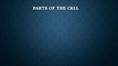 NCERT Class 8 Science - Cell Structure and Functions Lesson 8 (in Hindi) part 2