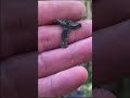 Очень необычный крестик.    Никогда такого не встречал.