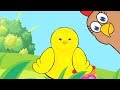 IL PULCINO BALLERINO - Alman Kids canzoni per bambini