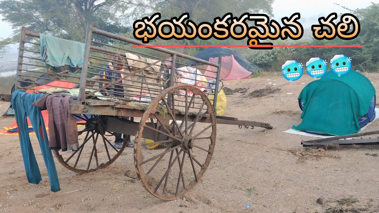 ఈ రోజు చలి మామూలుగా లేదు 