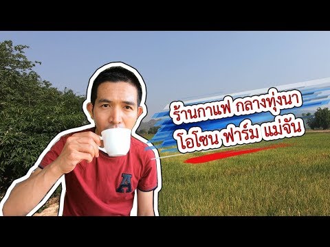 ขี่มอเตอร์ไซค์หา ร้านกาแฟกลางทุ่งนา โอโซนฟาร์ม แม่จัน | VchaiBlog