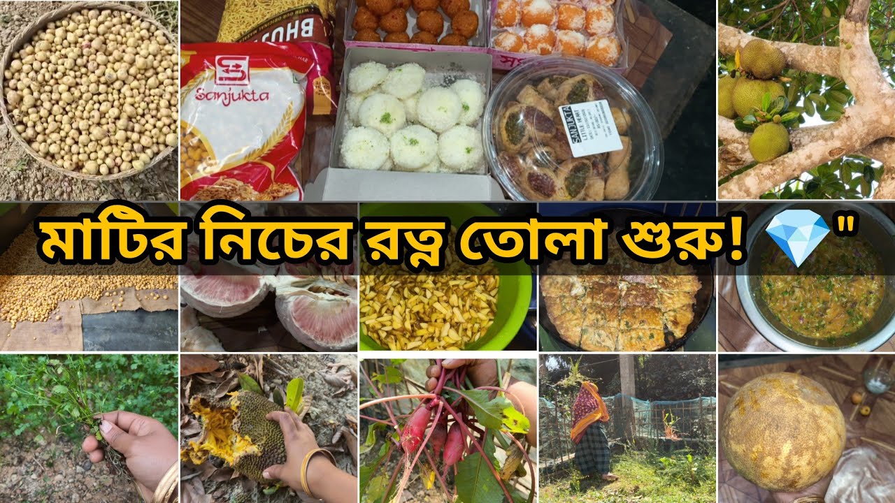 🌺Весь наш годовой труд наконец-то принес плоды; начался праздник сбора нового картофеля. (village...