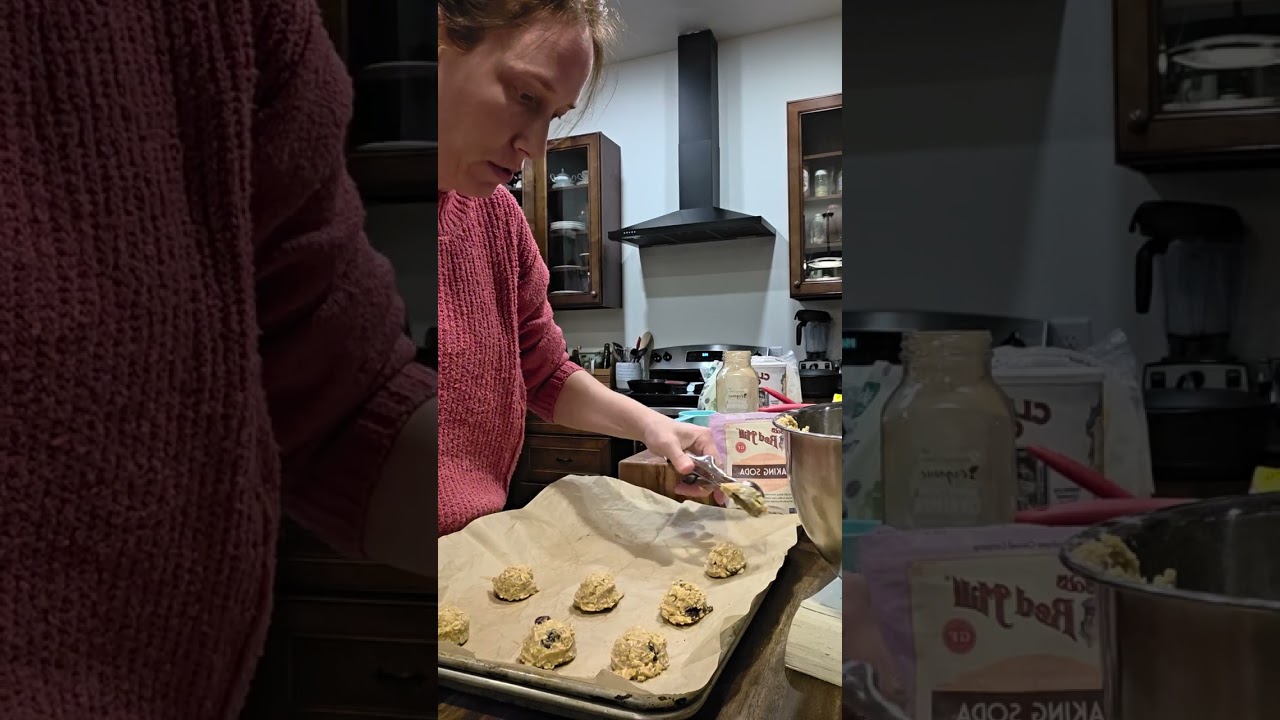 Best Ever Soft & Chewy Oatmeal Raisin Cookies | Homemade Recipe