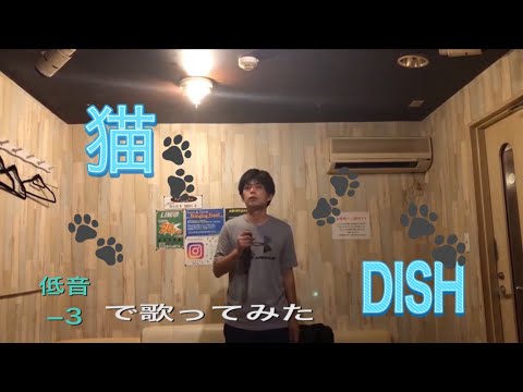 DISH／猫//【歌詞付き】あいみょん作詞作曲・北村匠海が歌う楽曲をキー下げ低音（-3）でカラオケ歌ってみた