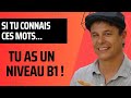 Si tu connais ces mots tu as un niveau b1 en franais