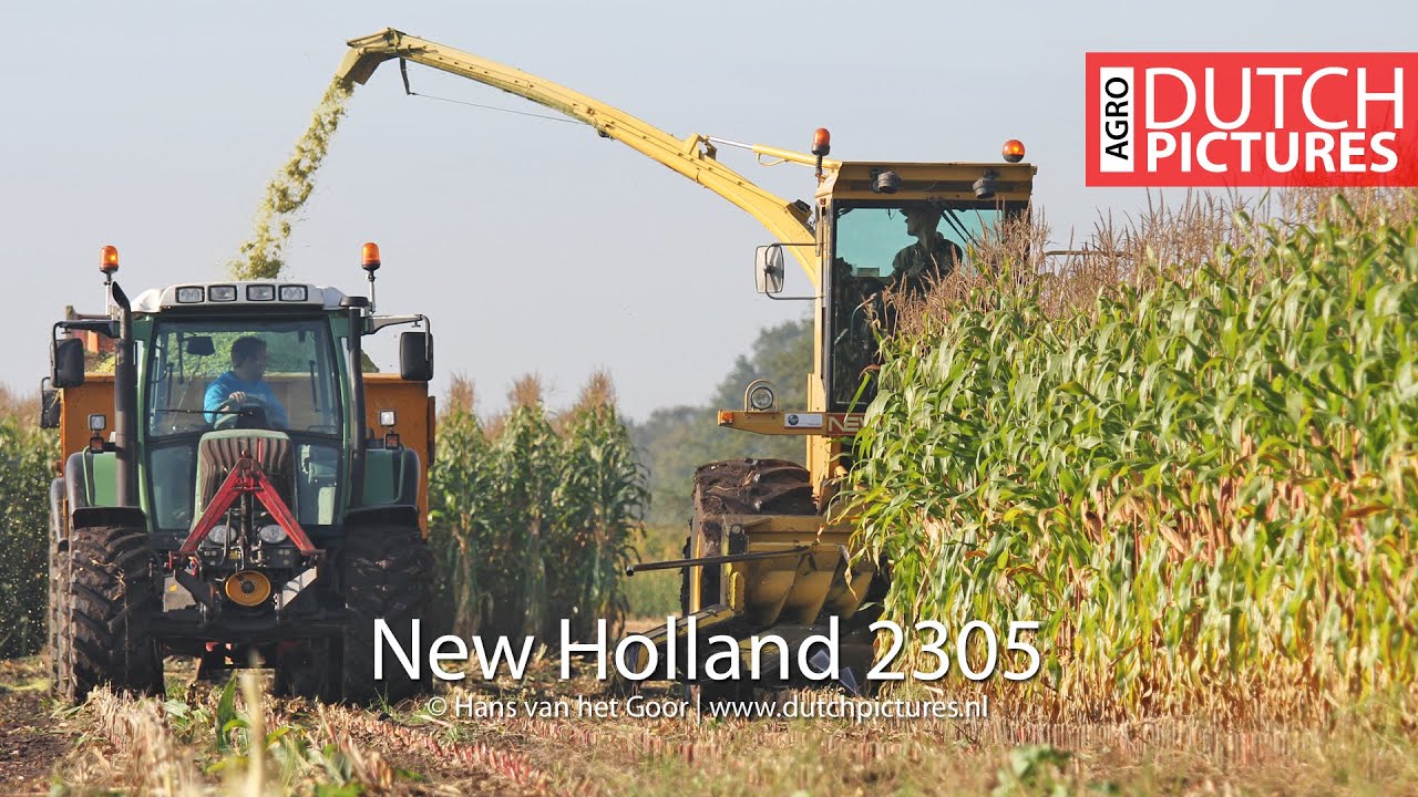Mais 2014 | New Holland 2305 | Schaap | Bunschoten |Maize|Corn|Hakselen|Harvesting|Ernte