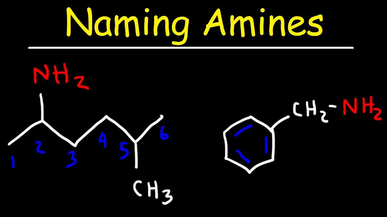 Naming Amines - IUPAC Nomenclature & Common Names Within Functional Group Practice Worksheet