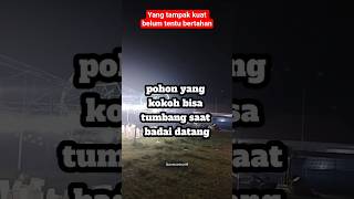 Download Lagu Yang tampak kuat belum tentu bertahan #motivasi MP3