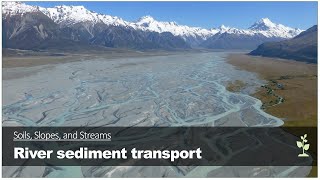4.3. River sediment transport
