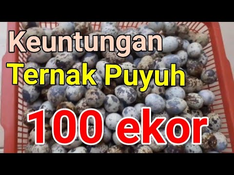 Cara daftar jadi agen pulsa,kuota internet, token dan pembayaran lengkap. 