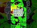 ｟気持ちが明るくなる音楽たち｠#気持ちが明るくなる音楽#明るい音楽#リラクゼーション作業用BGM