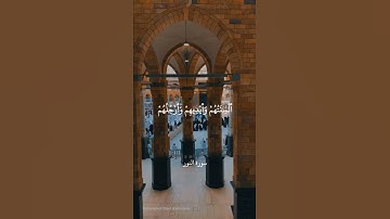 إن الذين يرمون المحصنات الغافلات المؤمنات لعنوا في الدنيا والآخرة ولهم عذاب - سورة النور- علي جابر
