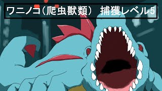 『ポケモンLEGENDS Z-A』借金まみれ『ケモトカゲ』