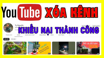 Cách lấy lại kênh Youtube bị xóa năm 2023 - Mình đã thành công