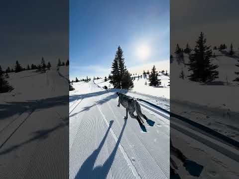 Full Speed Into 2025