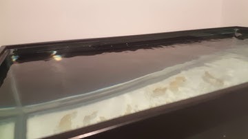 Reef Overflow: Weir vs No Weir