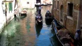 Venice♚ | Arin