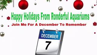 Ronderful Aquariums December2Remember Dec 7th Zoo Med Turtle Dock Aquatic Floating Turtle Dock Unbox