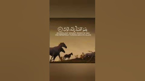اكتب شيء تؤجر عليه ❤️😢 #القارئ إسلام صبحي@Al-Furqan-l2u