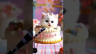 Josie Birthday Happy Birthday Song With Names Adorable Cute Cat