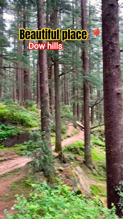 Song 🎵 life in frames |#shorts #travel #mountainswiev #darzling #viral #explore #lyunaff