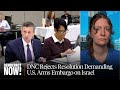 DNC Panel Rejects Resolution Demanding U.S. Arms Embargo on Israel