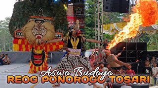 Download Mp3 ATRAKSI REOG PONOROGO VERSI ASWO BUDOYO  TOSARI  Gudang lagu Download Mp3 ATRAKSI REOG PONOROGO VERSI ASWO BUDOYO  TOSARI